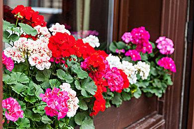 《太阳帝国的原罪2》今年Q3发售 新预告发布